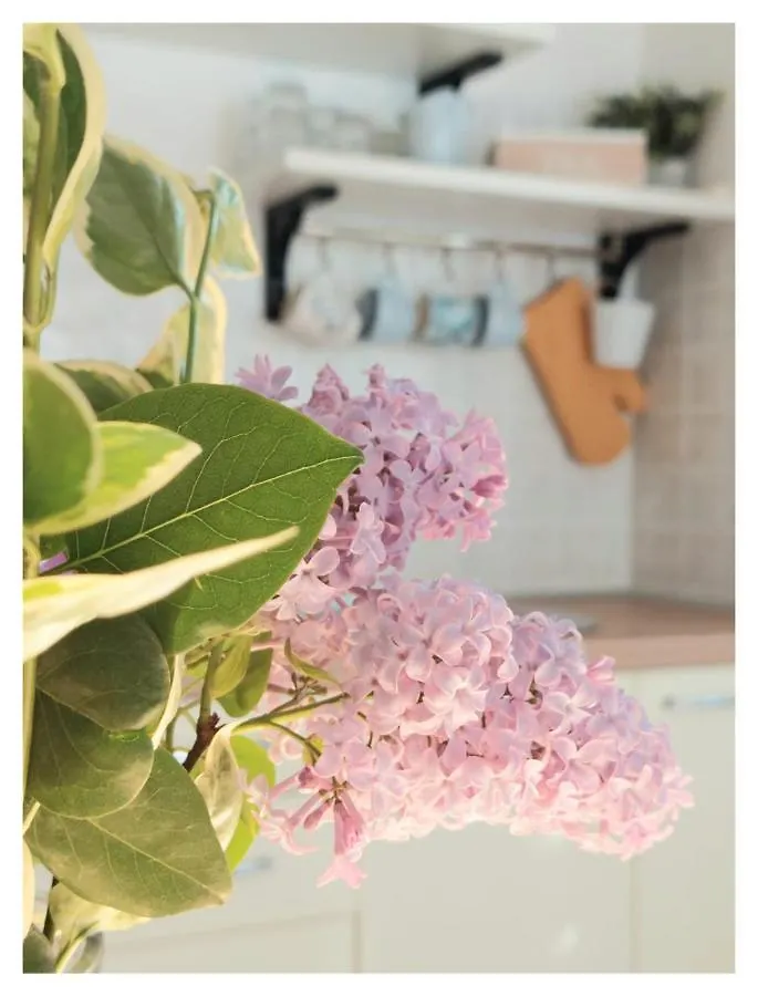 House Old Town Trogir Βίλα Σπίτι διακοπών